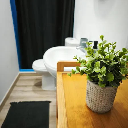 Apartment Montecorujeira Funchal (Madeira)