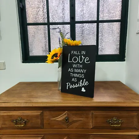 Montecorujeira Daire Funchal